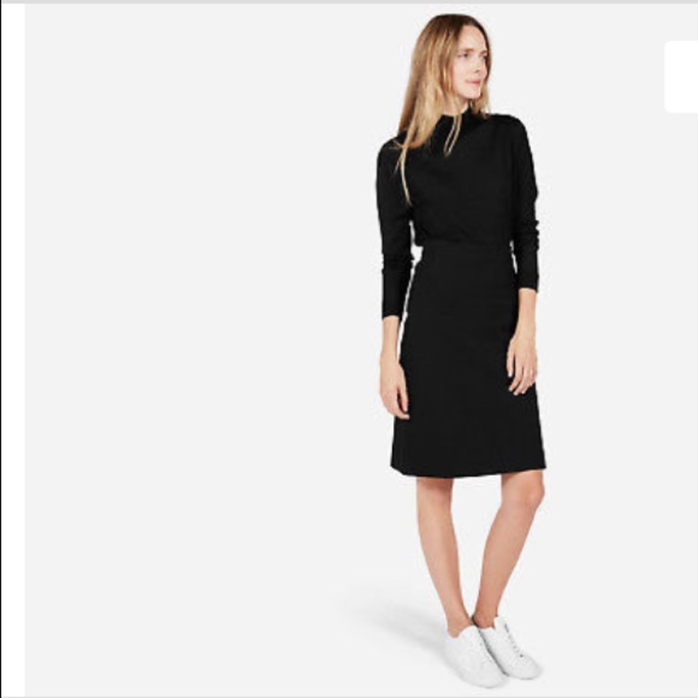 Everlane Classic Black Ponte Skirt Straight Pencil